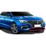 صورة شبك صدام